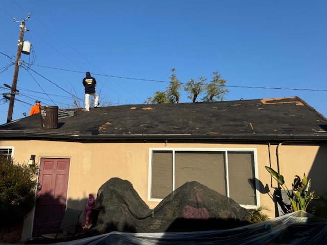 Palm Crest Roofing project