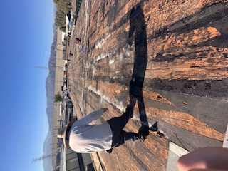 Palm Crest Roofing project