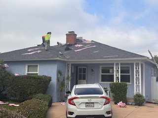 Palm Crest Roofing project