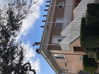 Palm Crest Roofing project