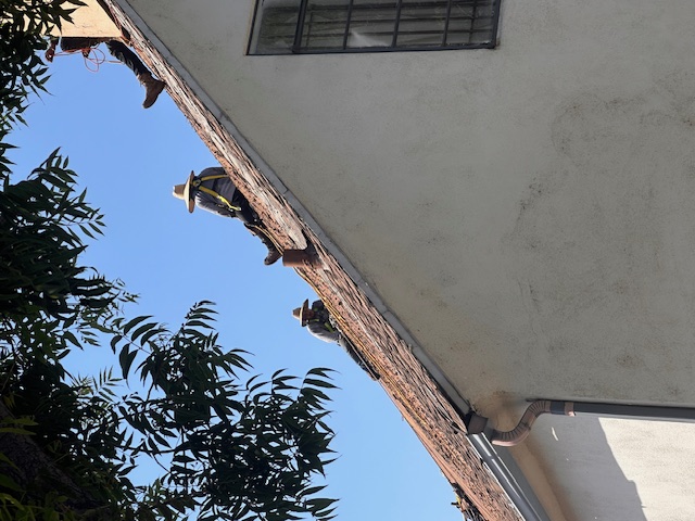 Palm Crest Roofing project