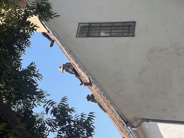 Palm Crest Roofing project