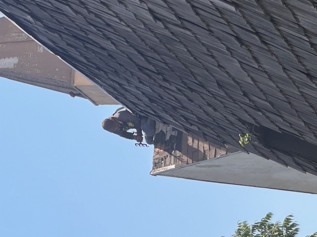 Palm Crest Roofing project