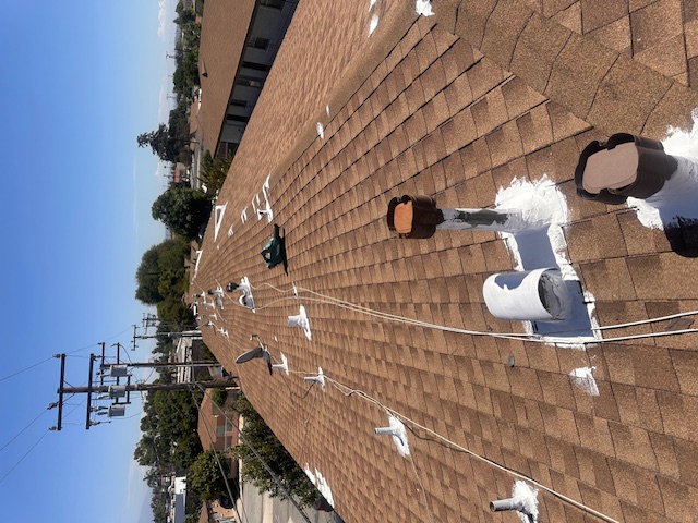 Palm Crest Roofing project