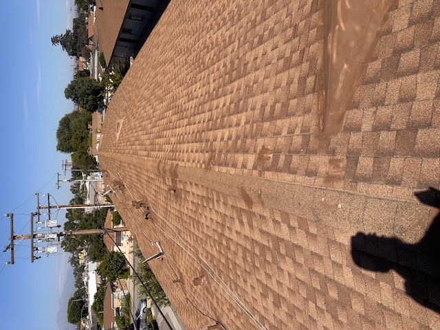 Palm Crest Roofing project