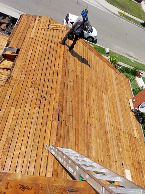Palm Crest Roofing project